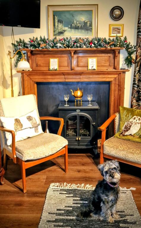 Vintage vibe with modern conveniences - Sheffield & Peak District! - Chambres d'hôtes Stannington