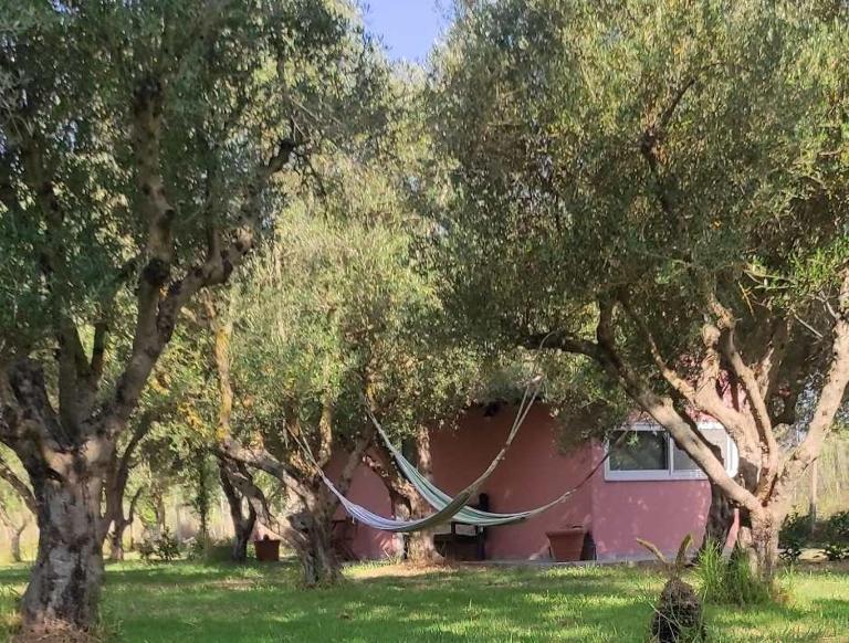 Lea's Studio - B&B Kouroútas