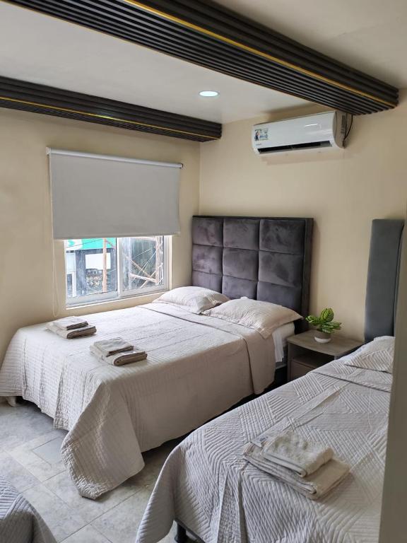 LPW STORE Centro - B&B San Andrés