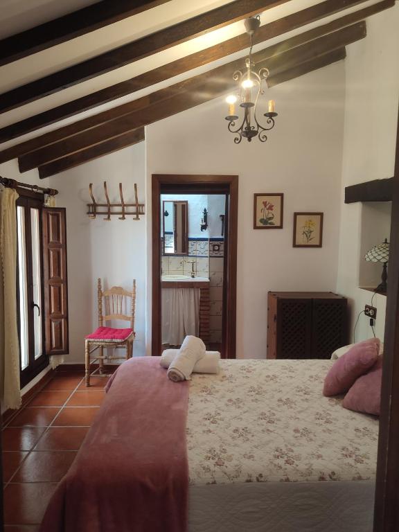 Casa Cuesta Gato - B&B Sedella
