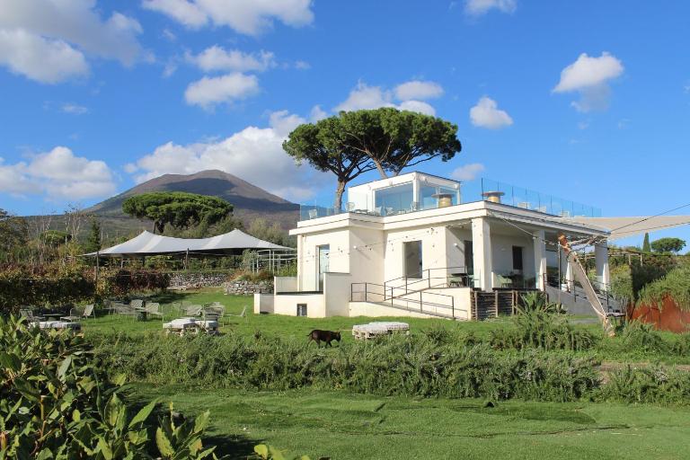 Vigna delle Rose - B&B Trecase