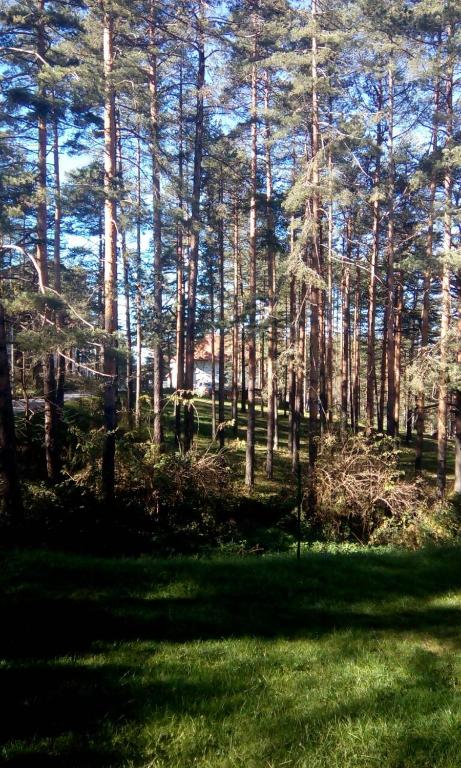 Apartment 9 Gorska Vila - B&B Zlatibor