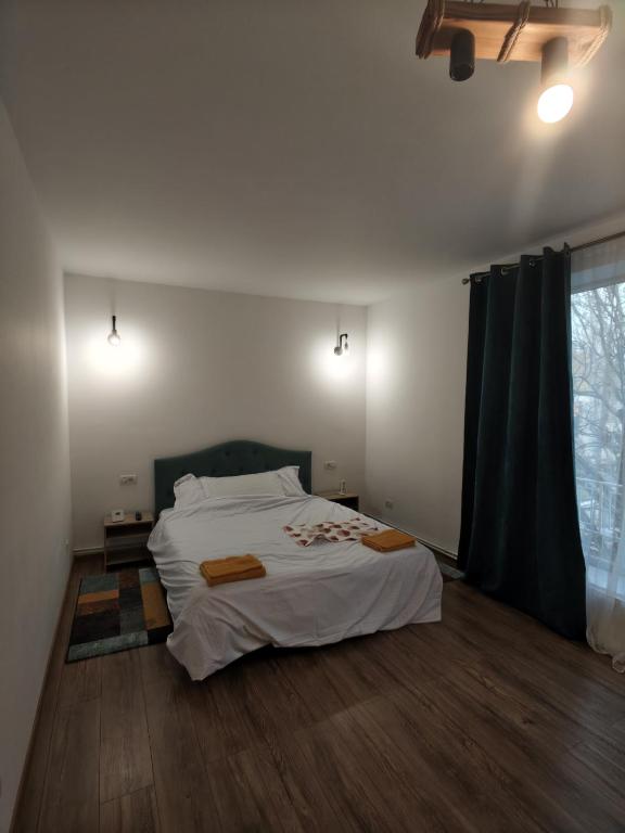 Studio ultracentral stefan cel mare - B&B Craiova