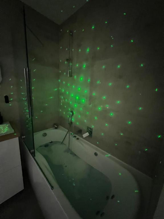 Zakrzówek Apartament z Jacuzzi - B&B Cracovia