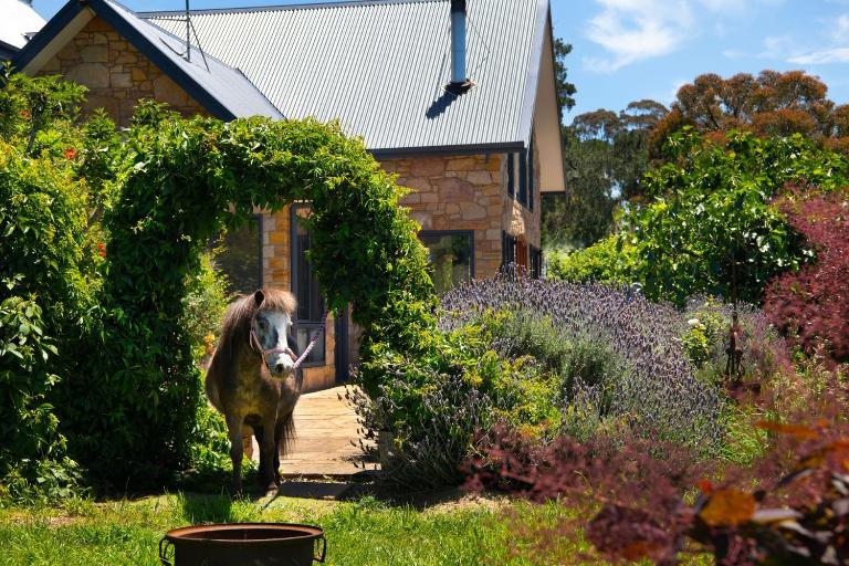 The Pony Lodge - B&B Hepburn Springs