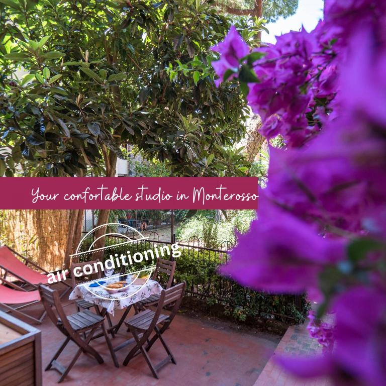 Il Giardino di Ada Ground Floor Studio with AC and Patio - Chambres d'hôtes Monterosso al Mare