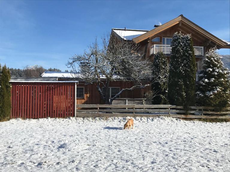 Sissy Appartment - B&B Kössen