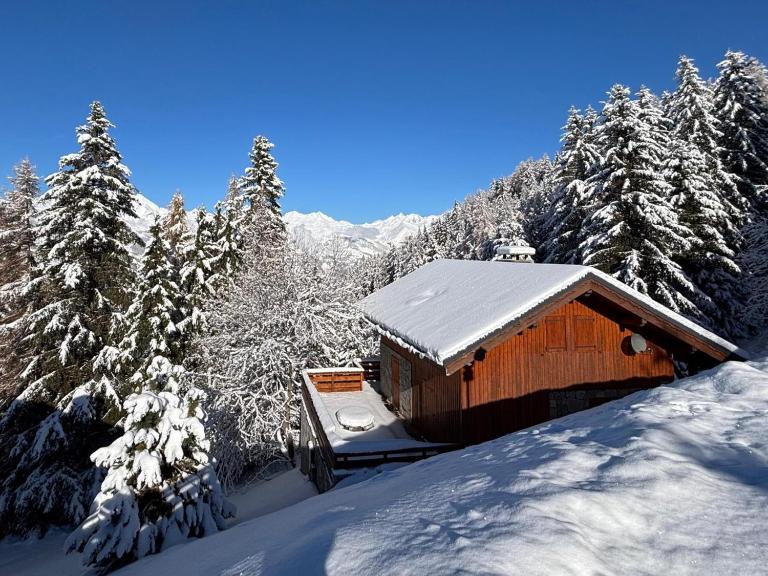 Chalet 5 pièces Vallandry, 12 pers, animaux admis, parking, WiFi - FR-1-411-545 - B&B Landry