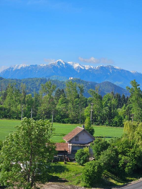 Mountain View Amza Accomodation - B&B Râşnov