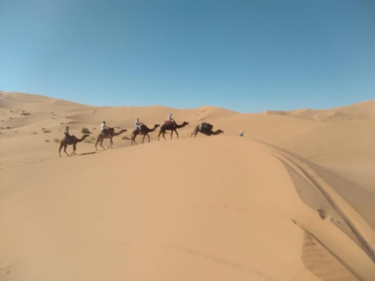 Isolé Bivouac Merzouga - B&B Merzouga