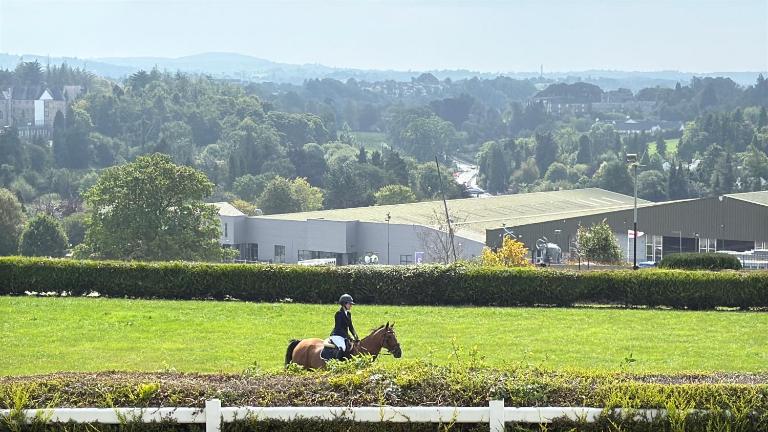 Cavan Equestrian Estate - An Independent On-Site Accommodation - B&B Cavan