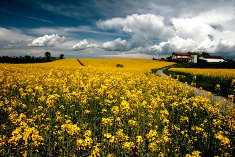 Il Poggio Agrisport - B&B Poirino