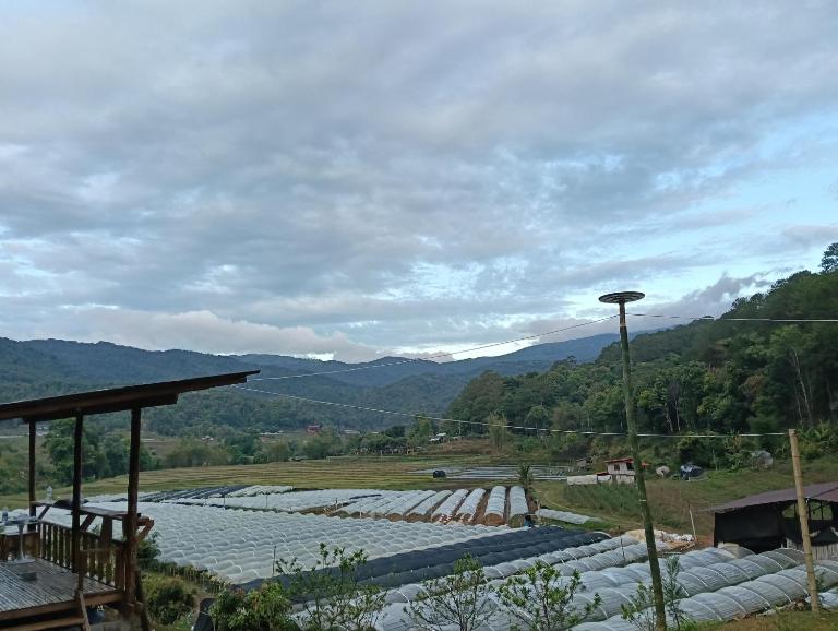 Chanya homestay - Bed and Breakfast Ban Yang