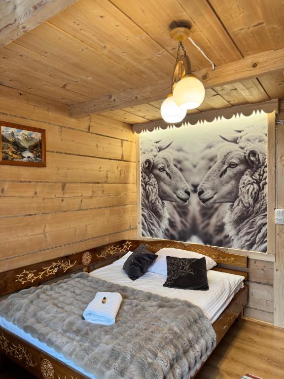 Pokoje i Apartamenty Regionalny Styl ul Bachledy 41 Zakopane - B&B Zakopane