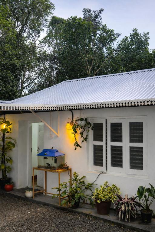 Ella Homestay - Chambres d'hôtes Pīrmed