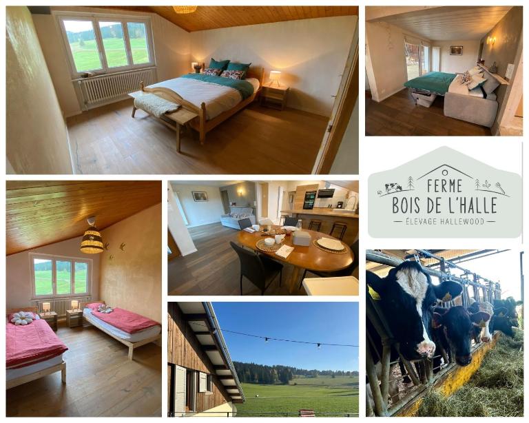 La Ferme du Bois de l'Halle - B&B La Brévine