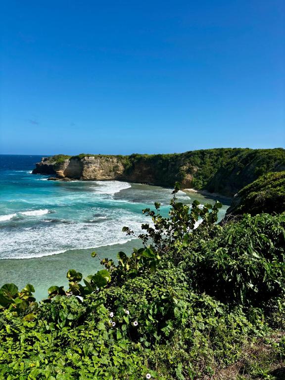 D O M A I N E - D E - L' A N S E - P I S T O L E T - Proche Grande Vigie, Vue Unique - Bed and Breakfast Anse-Bertrand