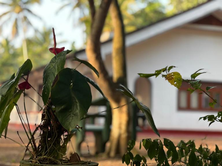WIJAYA Rest - B&B Gampaha