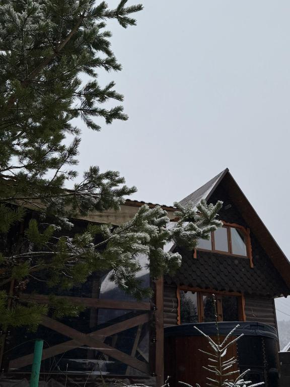 Spadok Forest Villas - Villa 2 - B&B Svoboda