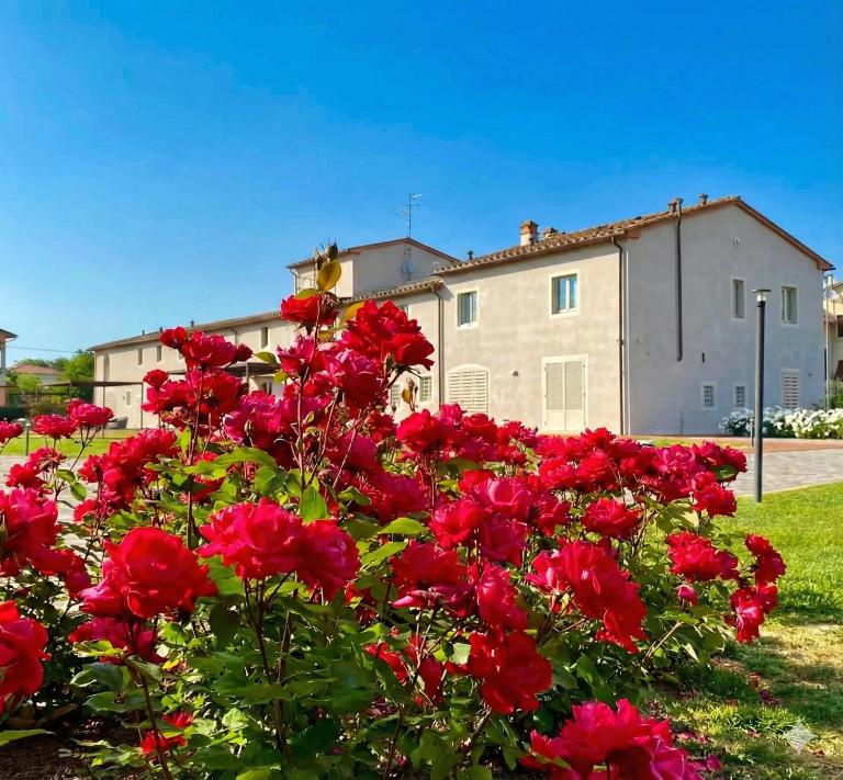 Agriturismo Saliceto - B&B Agliana