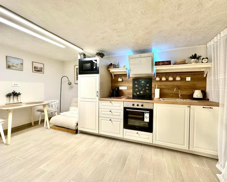 New comfortable and cute one-room apartment of 33 m2 - B&B Ljubljana