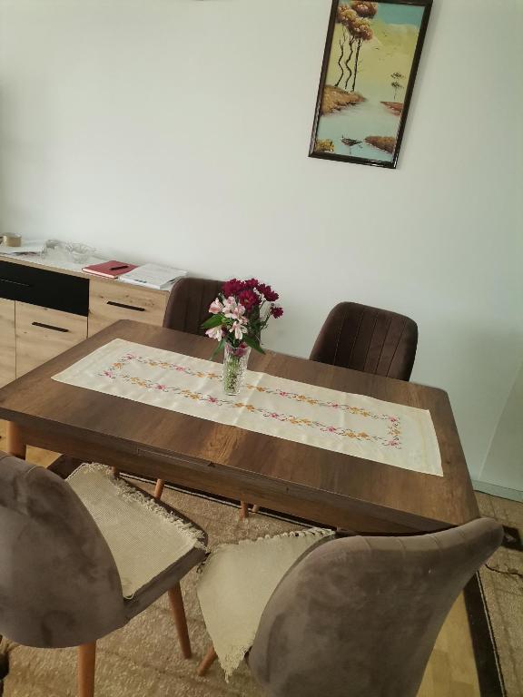 Mala Sirena - Bed and Breakfast Pirot