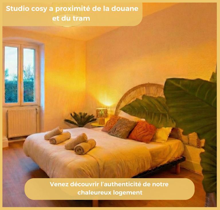 L'Amara I T1 I Gaillard - B&B Gaillard