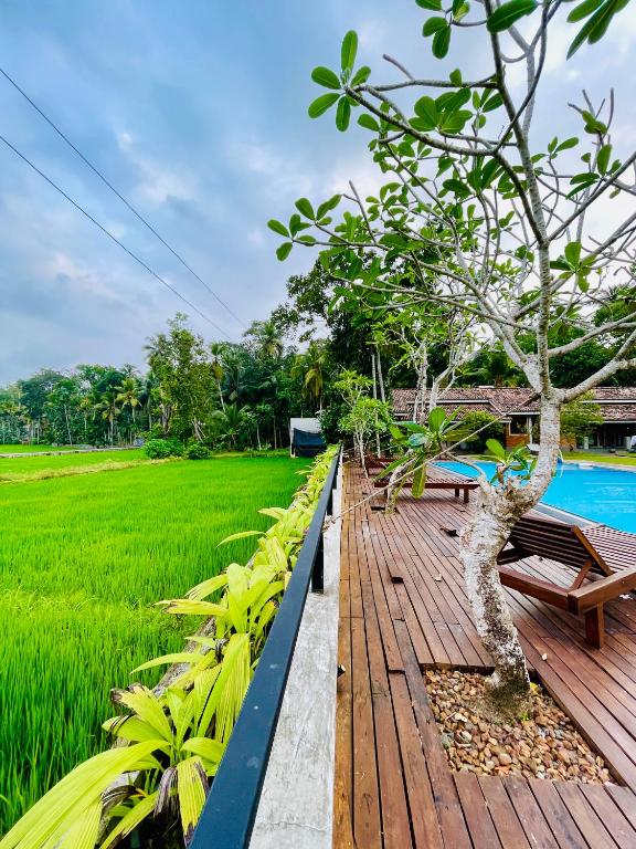 Eco Lux Villas - B&B Ahangama