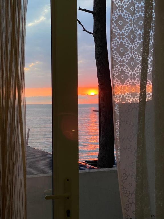 Guest House Citrus - B&B Kobuleti