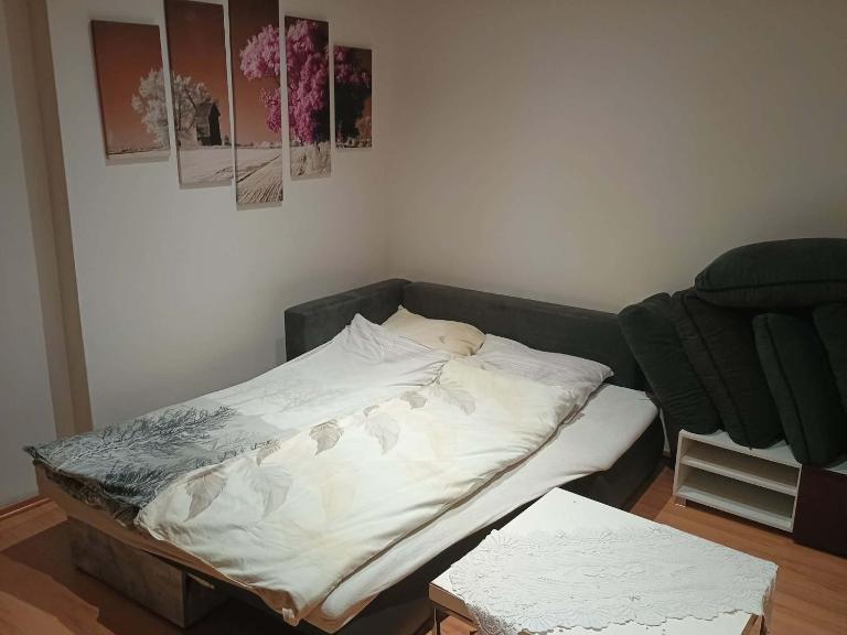 Centrum Czeski Cieszyn Český Těšín - Chambres d'hôtes Fryštát