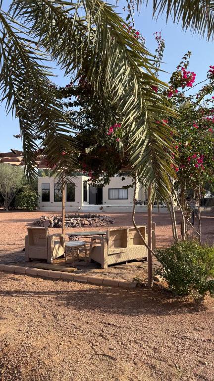 مزرعة كين با القاعد - B&B Ha'il