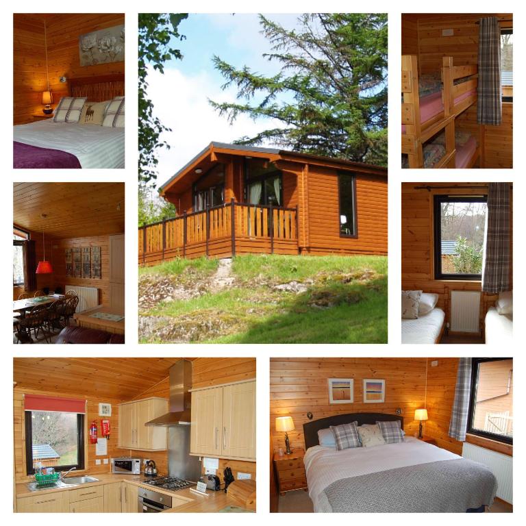 Woodland Oak Log Cabin, by Meall nan Tarmachan - B&B Killin