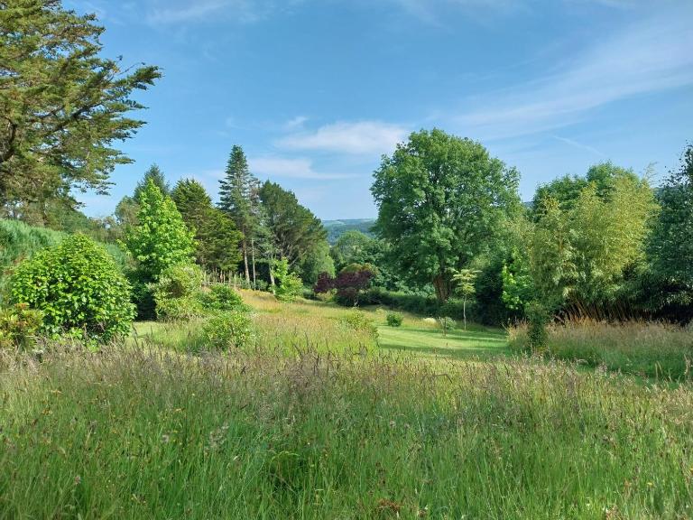 Walkers Retreat with garden and views - B&B Holne