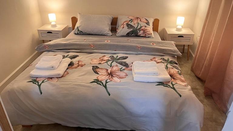 Smeštaj Aleksić - Niš City Center - B&B Niš