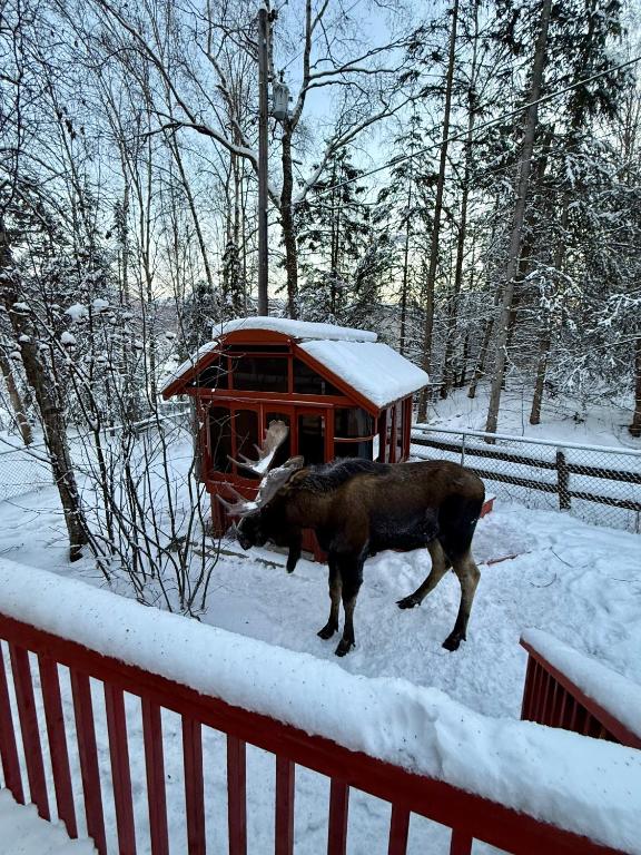 Hot Tub Stunning Mountain Views 2 kitchens 4 bedroom 2 bathroom - Chambres d'hôtes Anchorage