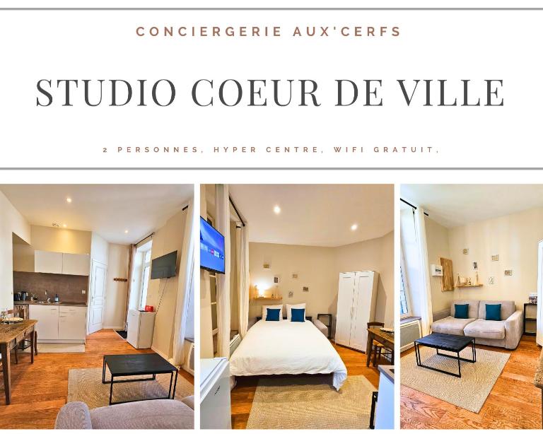Aux'Cerfs - Studio coeur de ville - B&B Auxerre