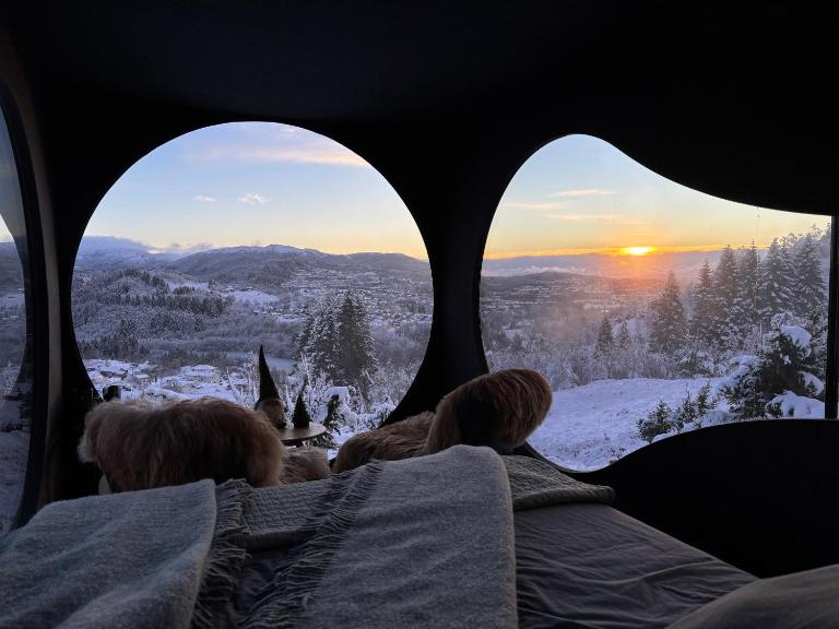 Birdbox Bergen - B&B Bergen