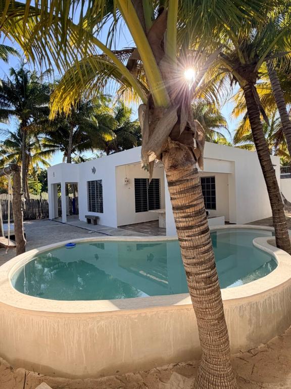 Casa De Los Peces - B&B San Crisanto
