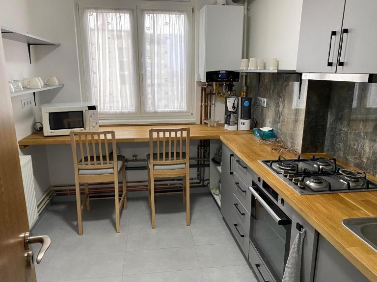 Apartament ultracentral Botis - Chambres d'hôtes Sighetu Marmaţiei