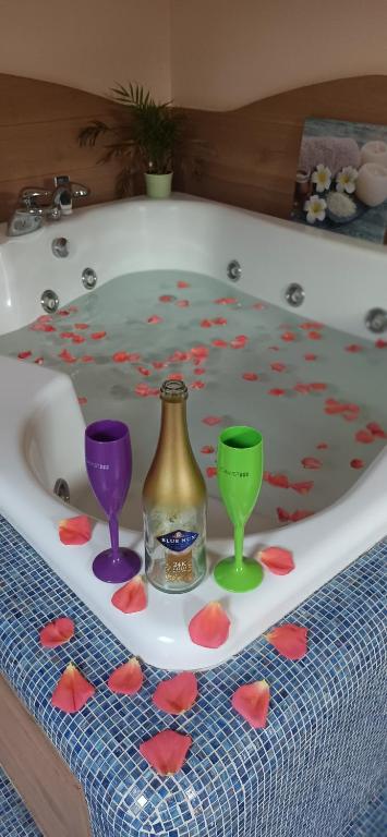 Central Terrace Escape with Jacuzzi - B&B Timisoara