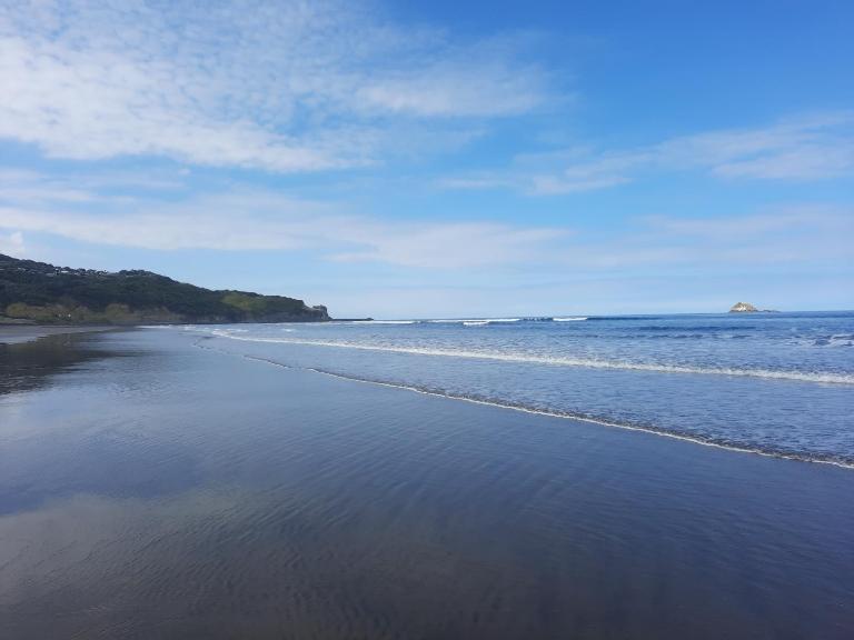 Silver Seas Retreat - B&B Muriwai Beach