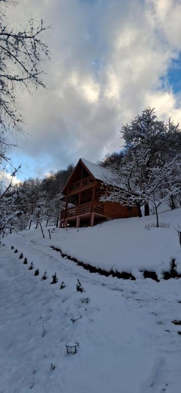 Cabana Ulmului - B&B Vişeu de Sus