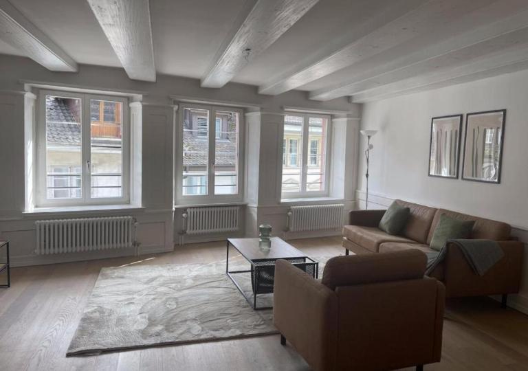 The R Apartment Bodensee - Old Town - Chambres d'hôtes Schaffhouse