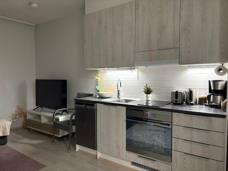 Modern City Apartment nearby Airport 2 - B&B Vantaa