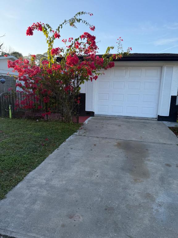 Nice private room with separate entrance - Bed and Breakfast Port Richey