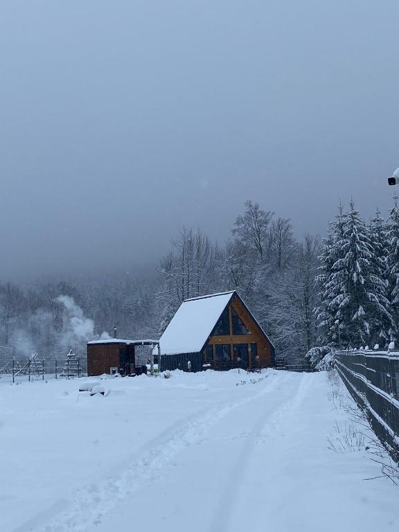 Cozy Aframe Valea Doftanei - B&B Trăisteni
