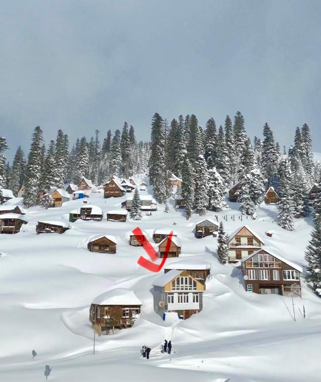 House in bakhmaro - Bed and Breakfast Bekmari
