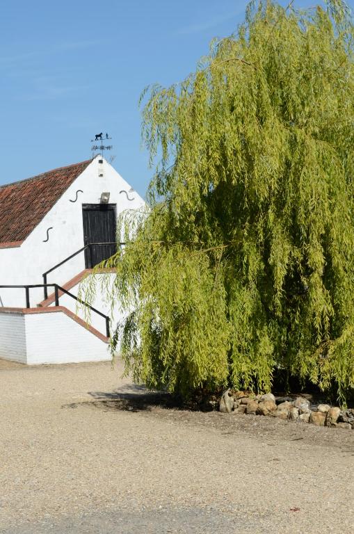 Willow Tree Farm - B&B Hillington