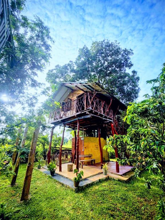 Farming Tree House - B&B Sigiriya