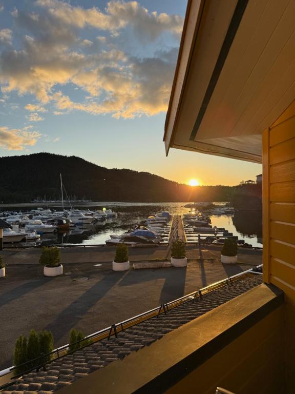 Askvik Marina Lägenhet i småbåtshamn med havsutsikt - B&B Askvik